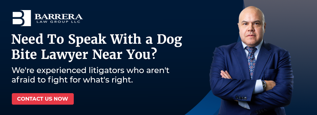 Speak With a Dog Bite Lawyer in Houston